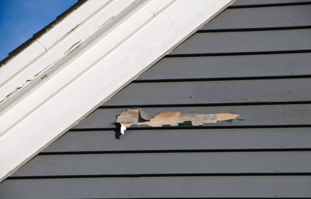 Best Same-Day Junk Removal Services  in Washoe Valley, NV
